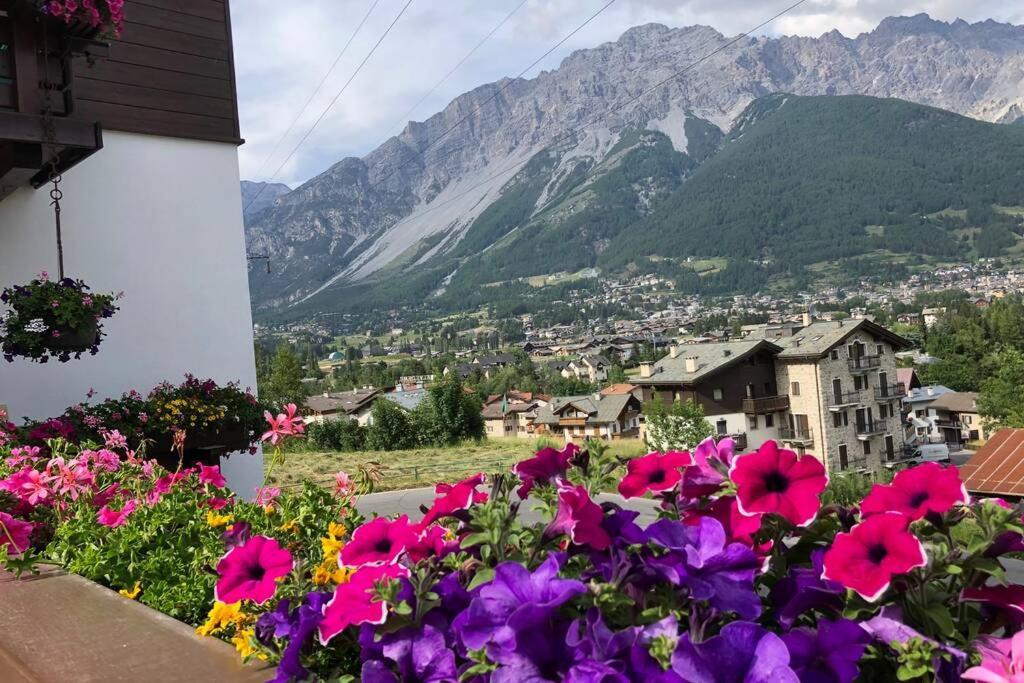 Appartamento A Due Passi Da Bormio Валдисото Екстериор снимка