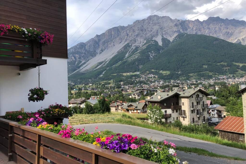 Appartamento A Due Passi Da Bormio Валдисото Екстериор снимка